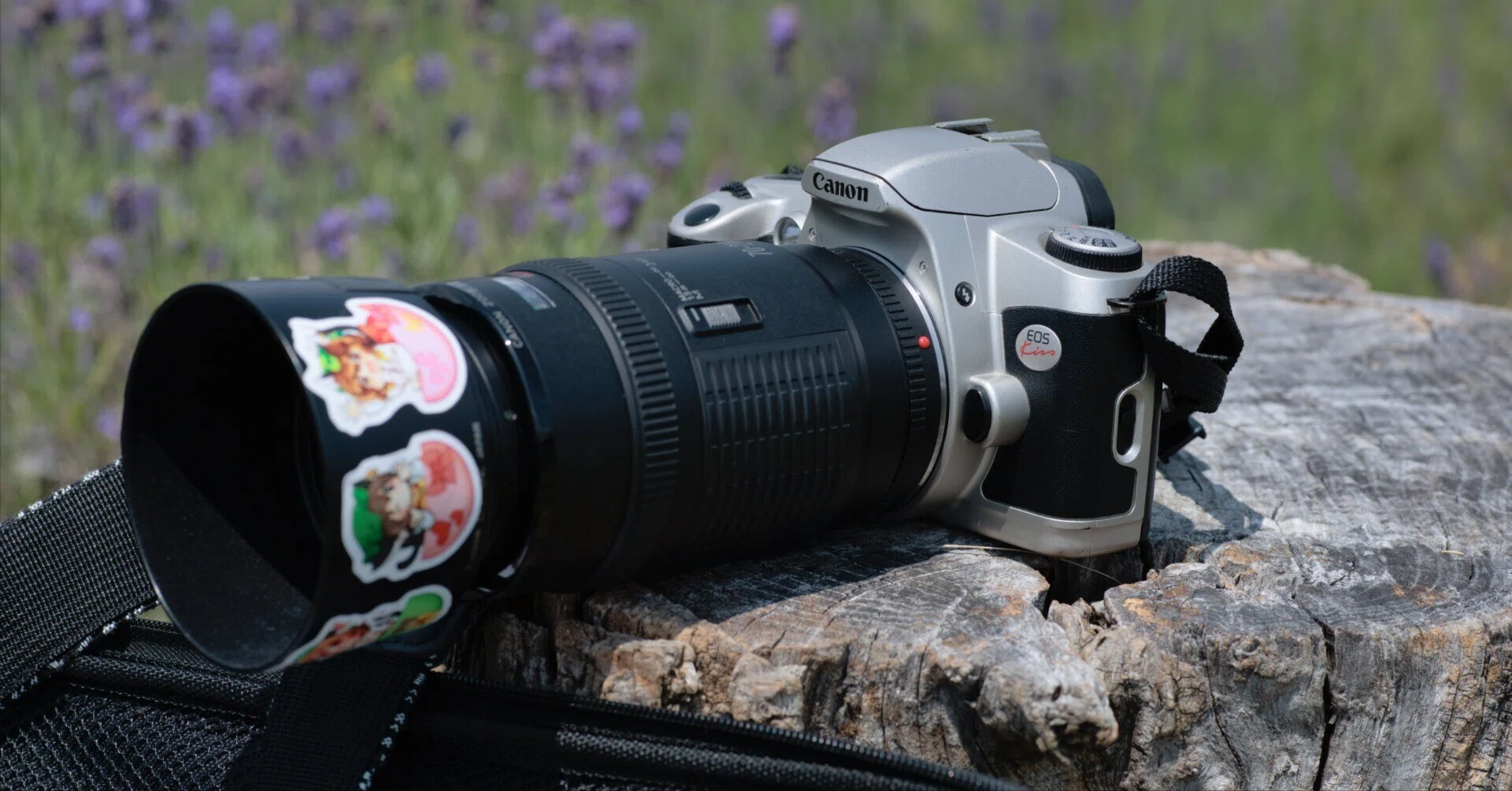 レンズレビュー】EF70-210mm F4|K2SND レンズレビュー】EF70-210mm F4|K2SND