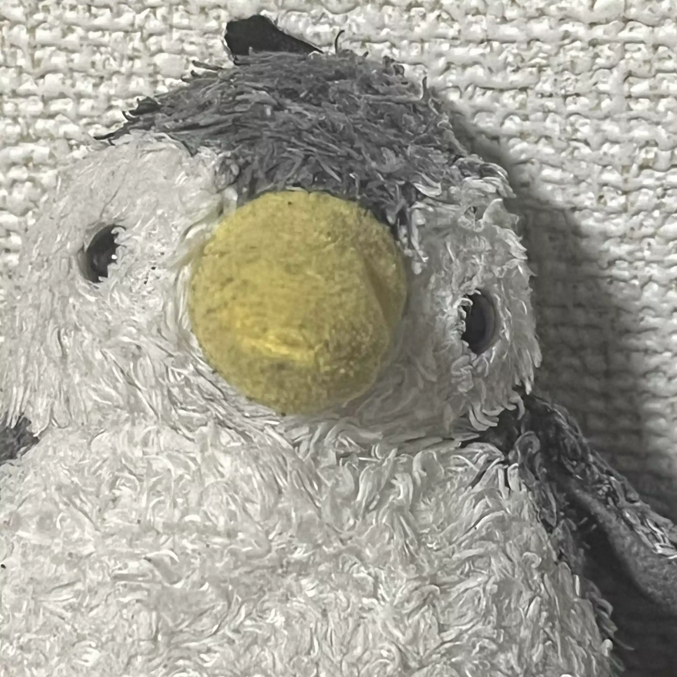 あらぺん