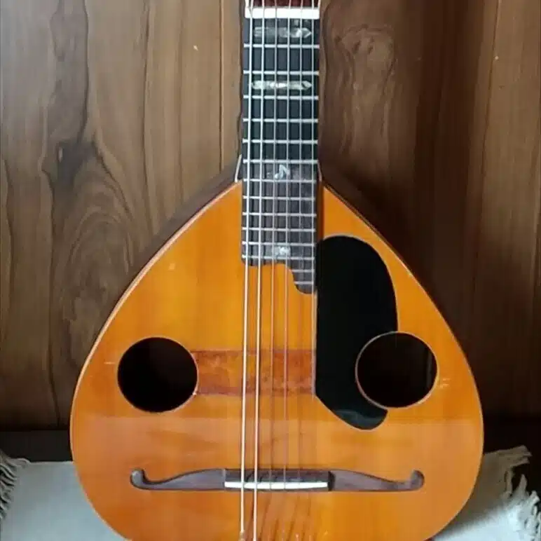 変な楽器