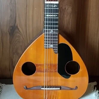 変な楽器