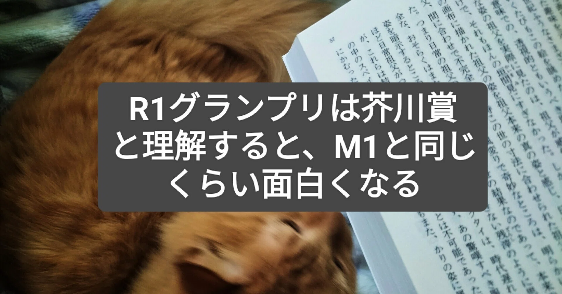 本好きにも見てほしいR1グランプリ準々決勝動画ガイド｜南ミツヒロ