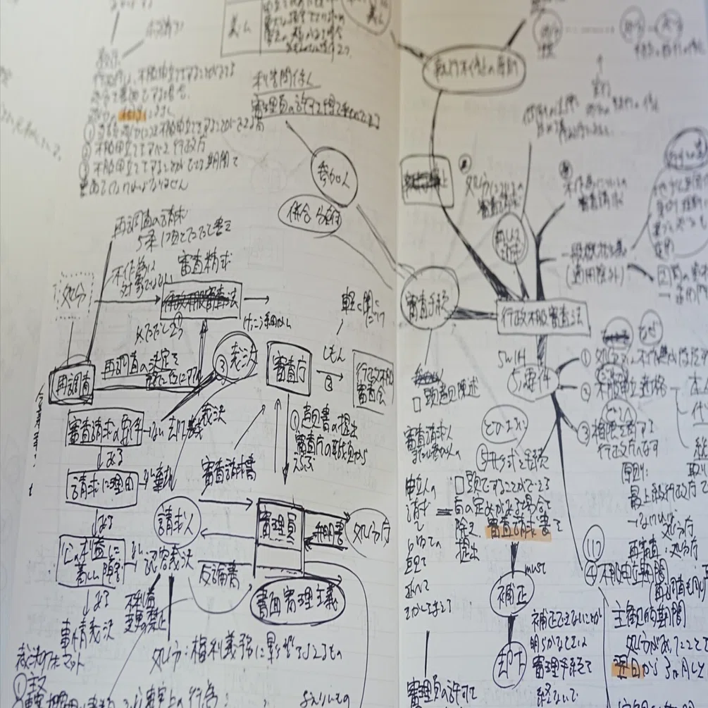 独学・社会人・30代でも合格できた「遠回りしない行政書士勉強法」｜妻