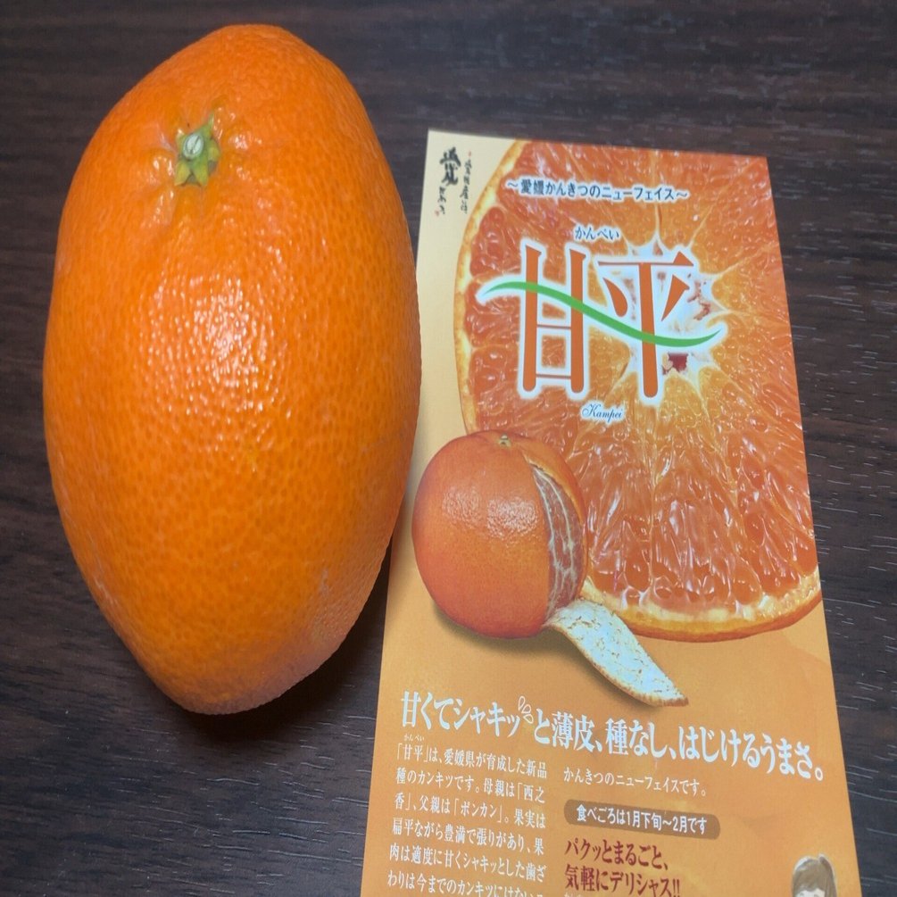 甘平 -くだもの2026-｜tetsu