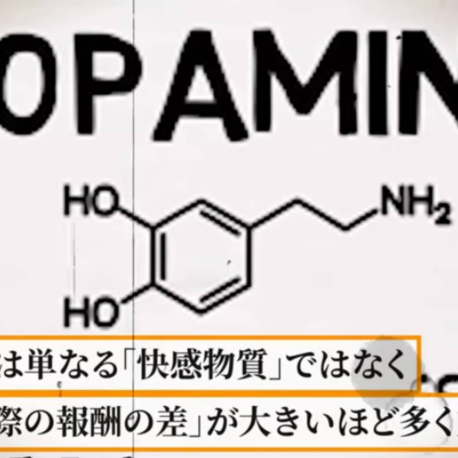 スキャルピングデトックス