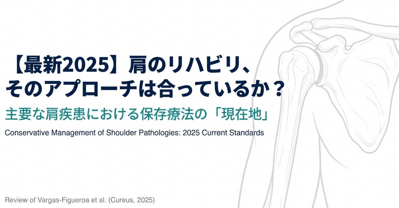 最新2025】肩のリハビリ、そのアプローチは合っているか？主要な肩疾患