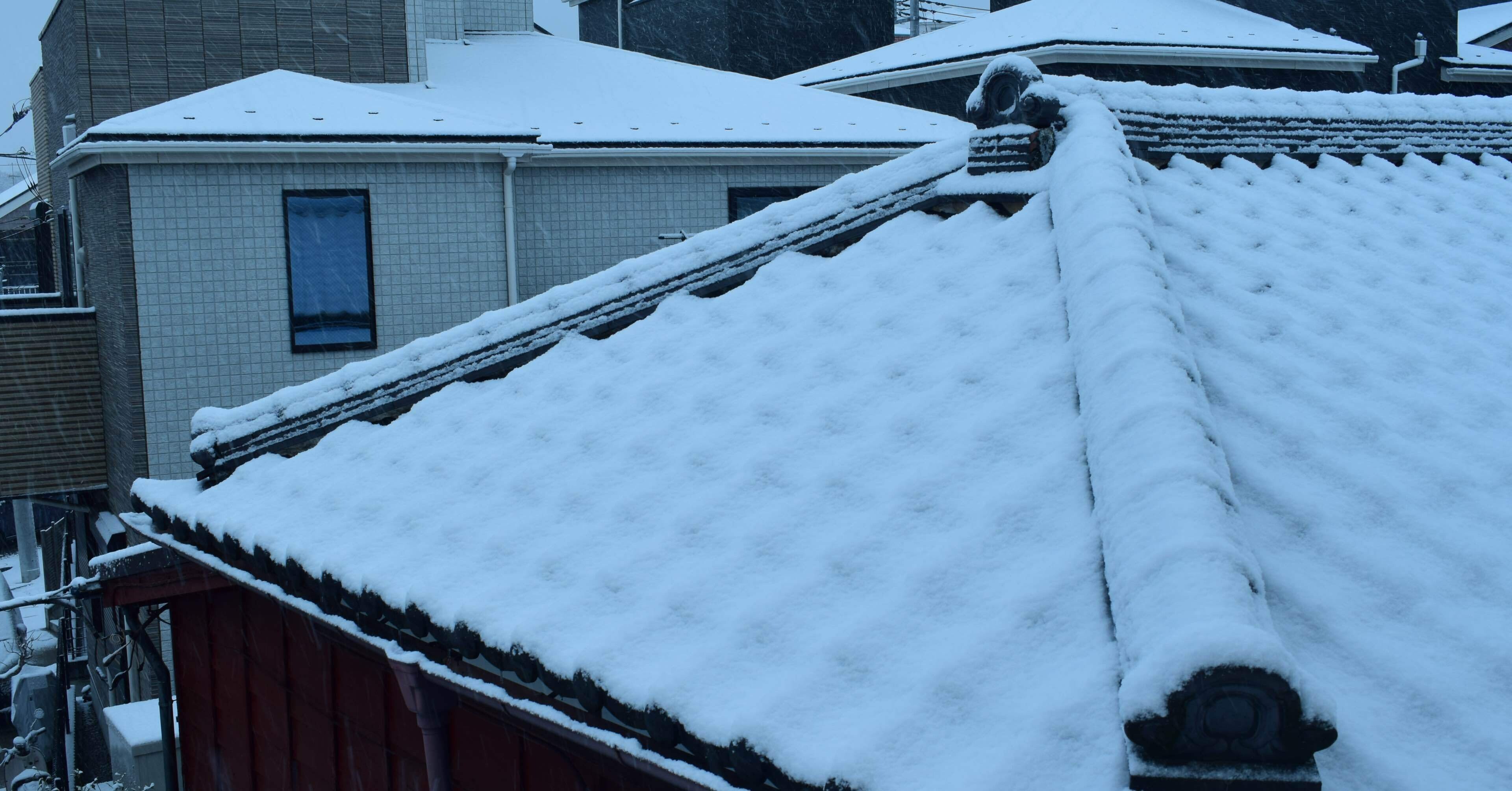 久しぶりの雪｜SuzukenSambar