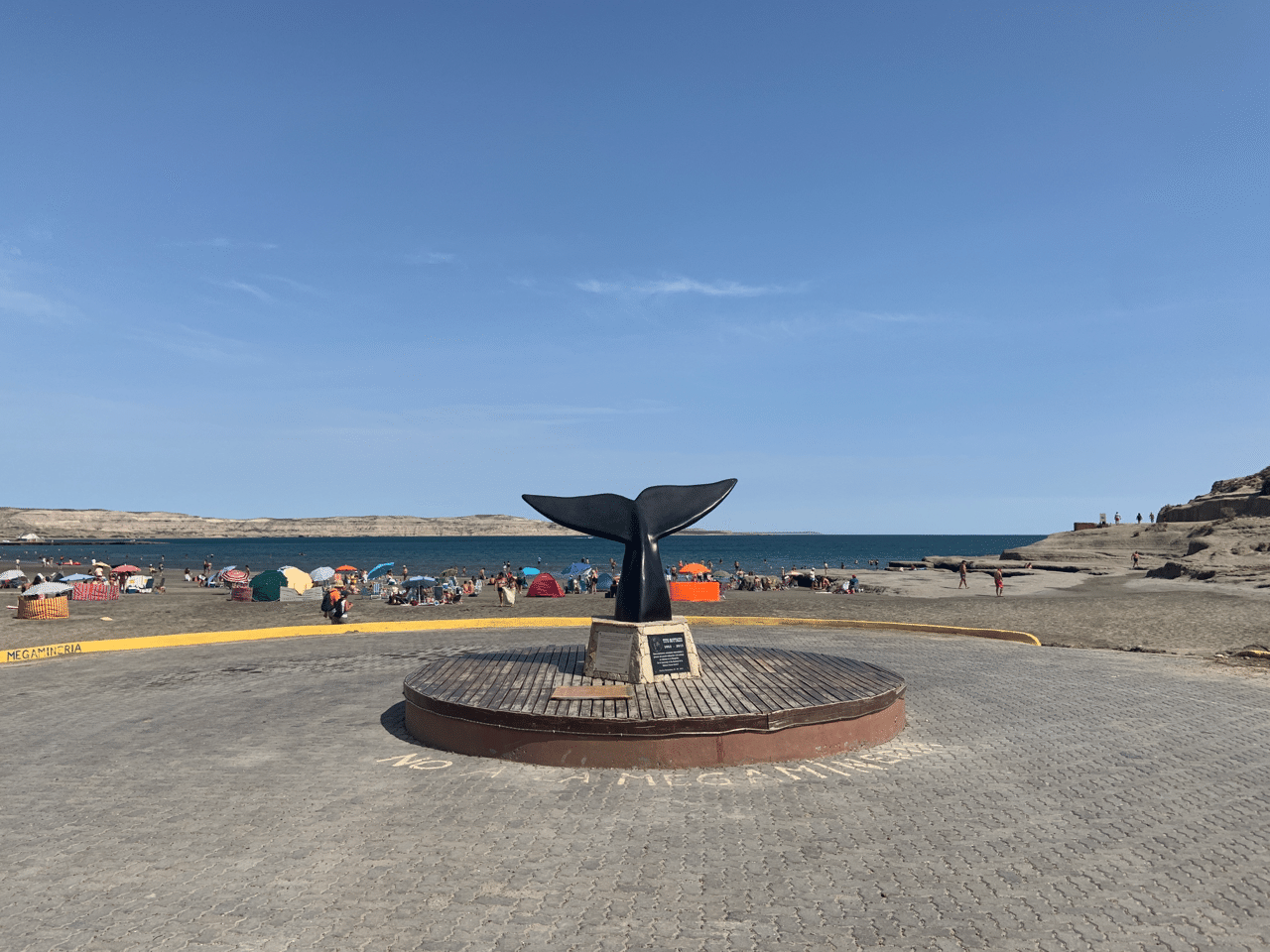 パタゴニアのアザラシの大群 荒ぶる野生動物たち 旅つばめ Note パタゴニアのアザラシの大群 荒ぶる野生動物たち 旅つばめ Note