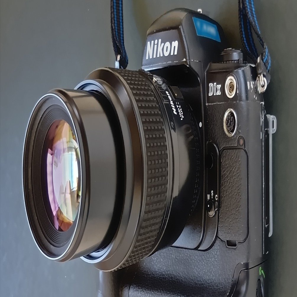 Nikon D1Xと猫とモノクローム｜Mosquito Brain Studio