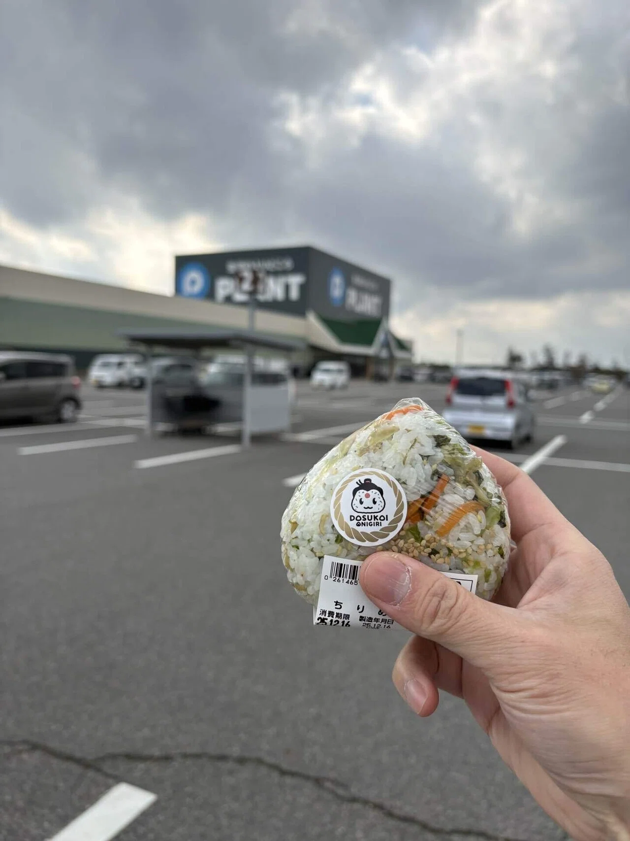 鳥取県おにぎり探し旅編スタート」巨大スーパーPLANTのどすこい
