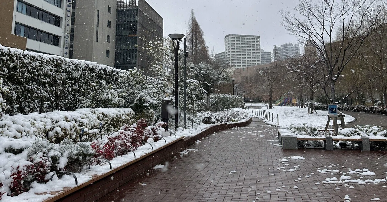 A Snowy Morning When I Was Told 'You Don't Have to Push Yourself'｜vegefru