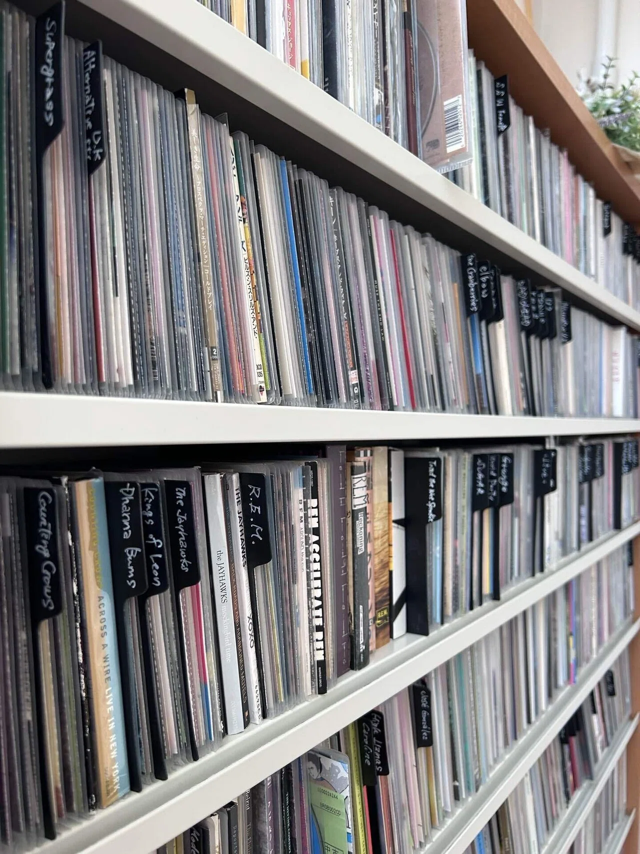 自宅のCD3,500枚をAIと一緒にジャンル分けしてみた。｜dig ニキ