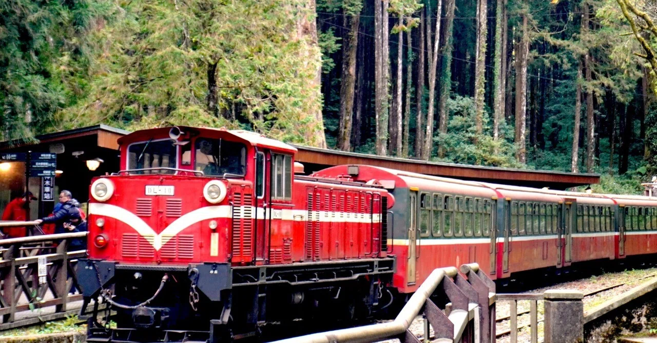 🇹🇼台湾③（阿里山）｜レトロ高山鉄道＆森林浴&ハイキング満喫旅