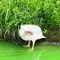 私の超ゆるゆる妊活記録