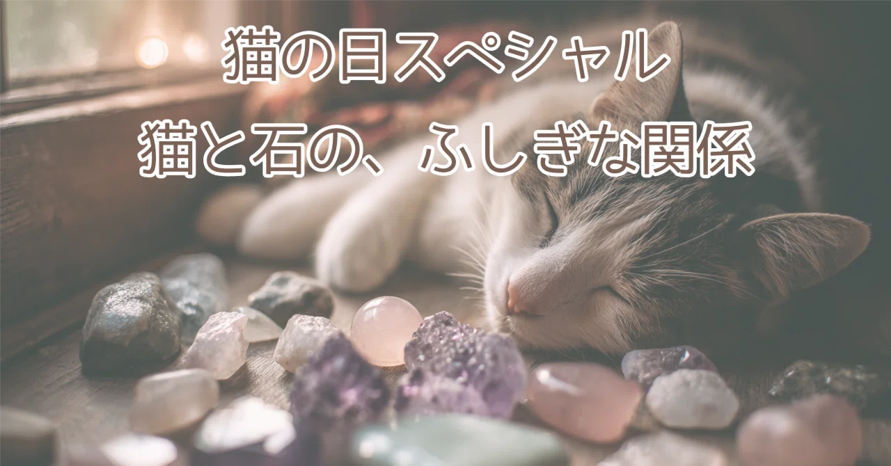 🐾 猫の日スペシャル|猫と石の、ふしぎな関係|つきはな