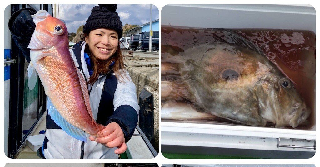 甘鯛】大型甘鯛49cm-1.1kgをゲット！【泳がせ】マトウダイ、ヒラメが