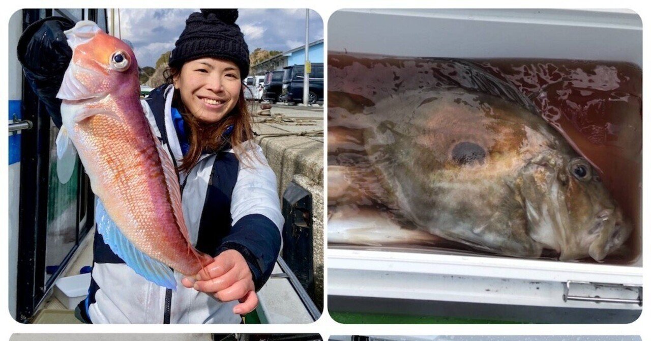 甘鯛】大型甘鯛49cm-1.1kgをゲット！【泳がせ】マトウダイ、ヒラメが