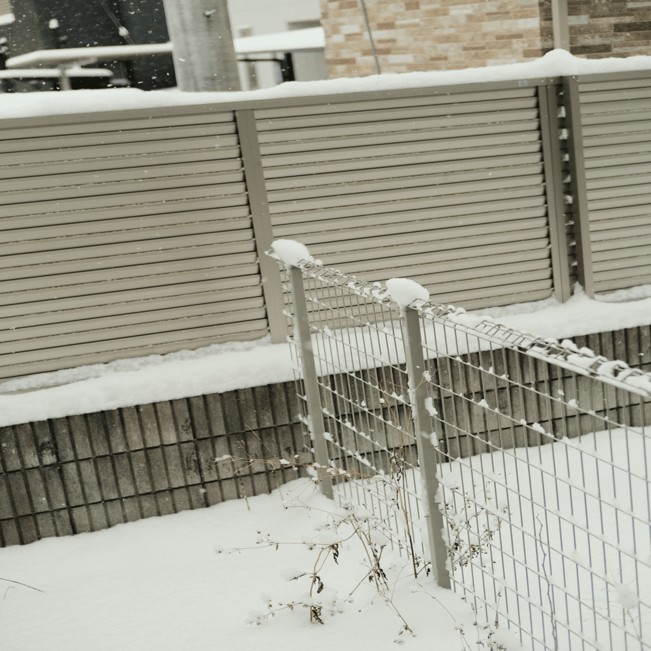 X-E4｜フィルムシミュレーションで写す雪景色｜koha