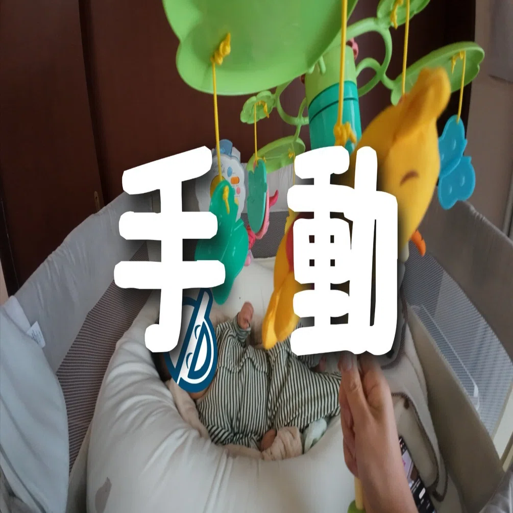 プーメリー　箱付き　完動品　電池18本付き プーメリー来たけど電池が無かったので手動で回す｜育児するいちろく