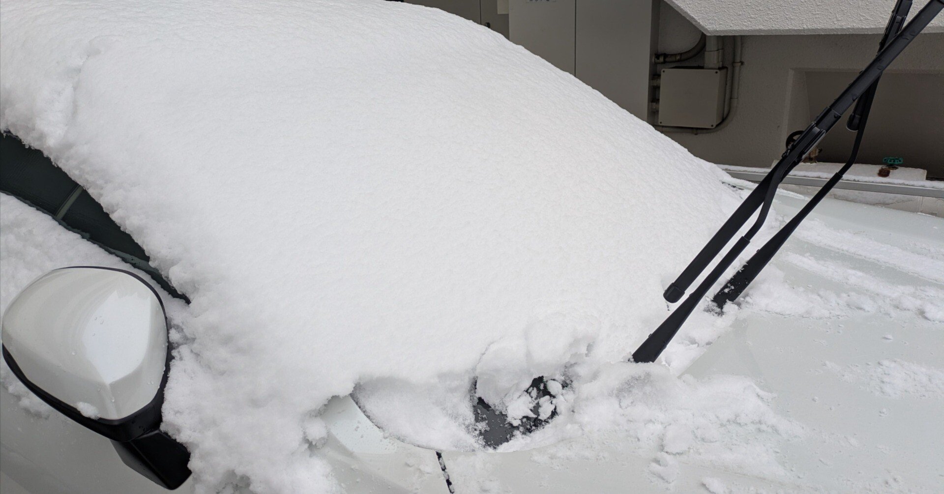 2025.02.08 雪かき｜哀染