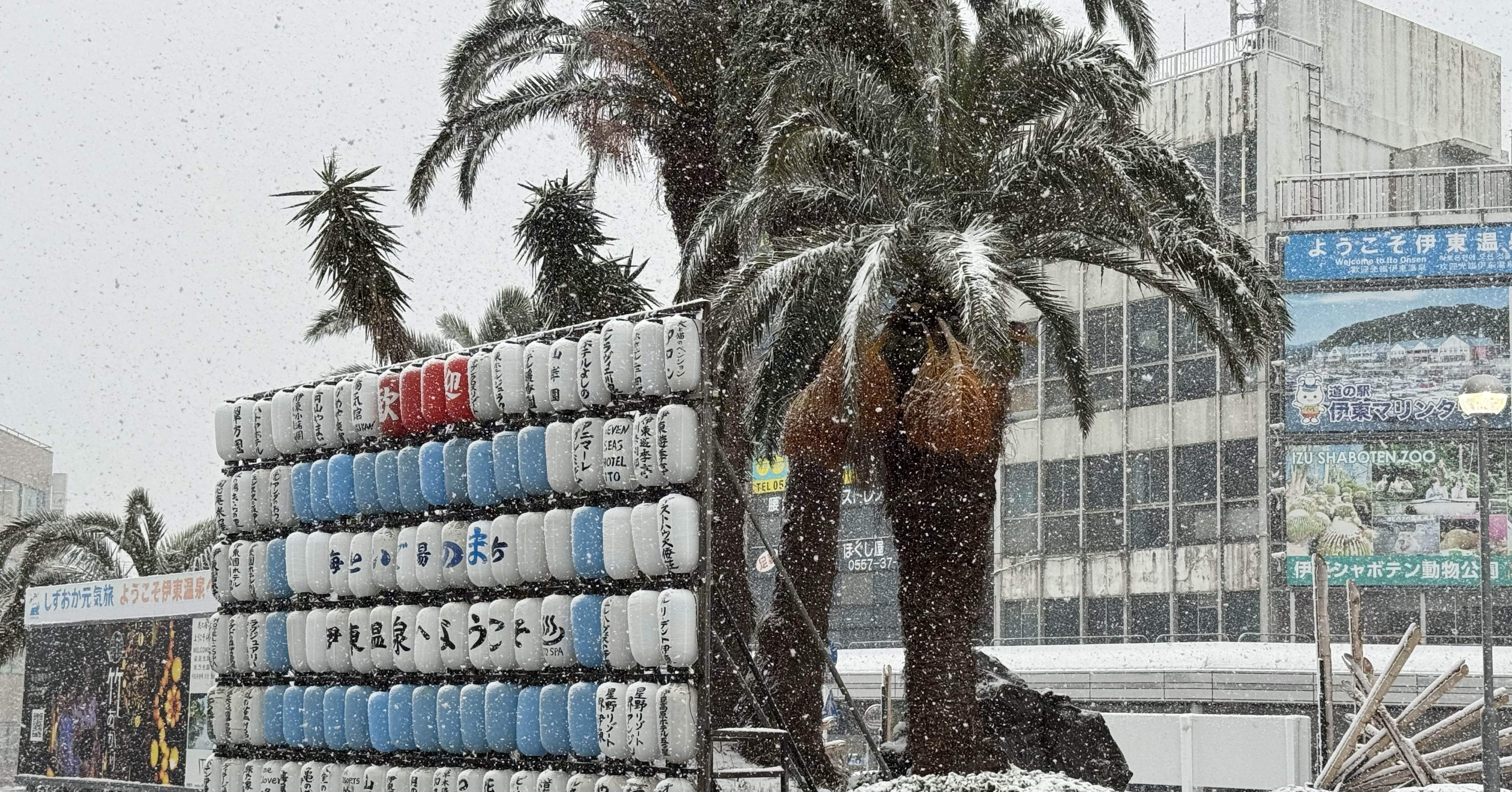 数年ぶりの大雪｜福田博之