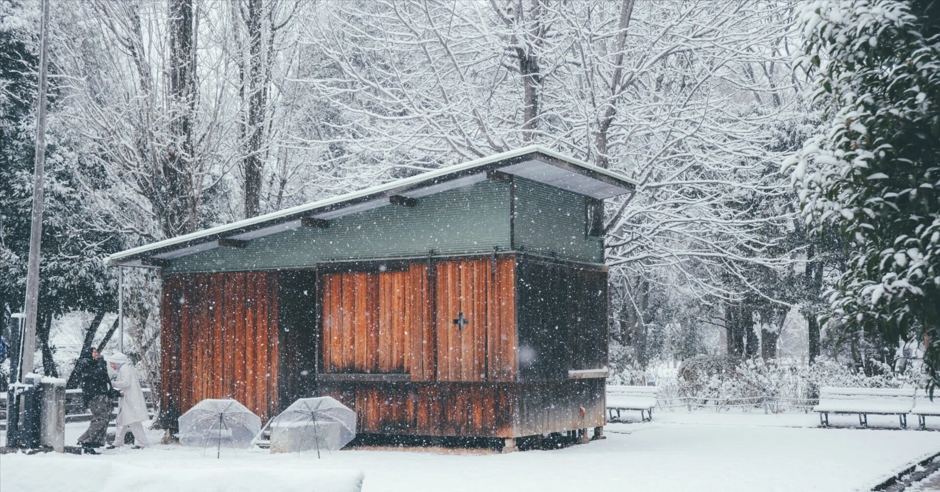 雪の別所沼公園フォトウォーク。X-T5と新レンズで撮る、白銀の世界と