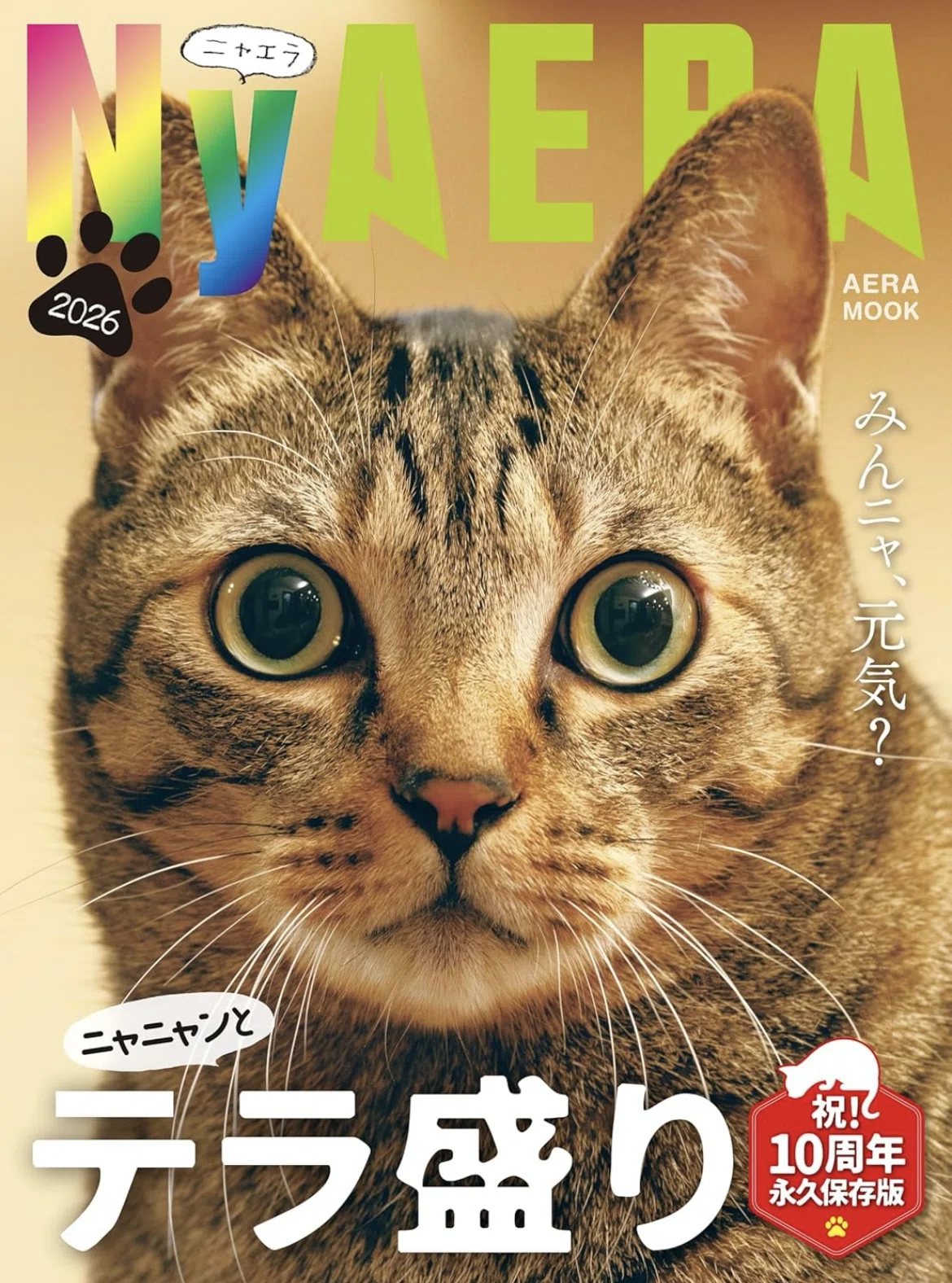 2/14発売のNyAERAにチラッと載ります〜｜よしのくりこ