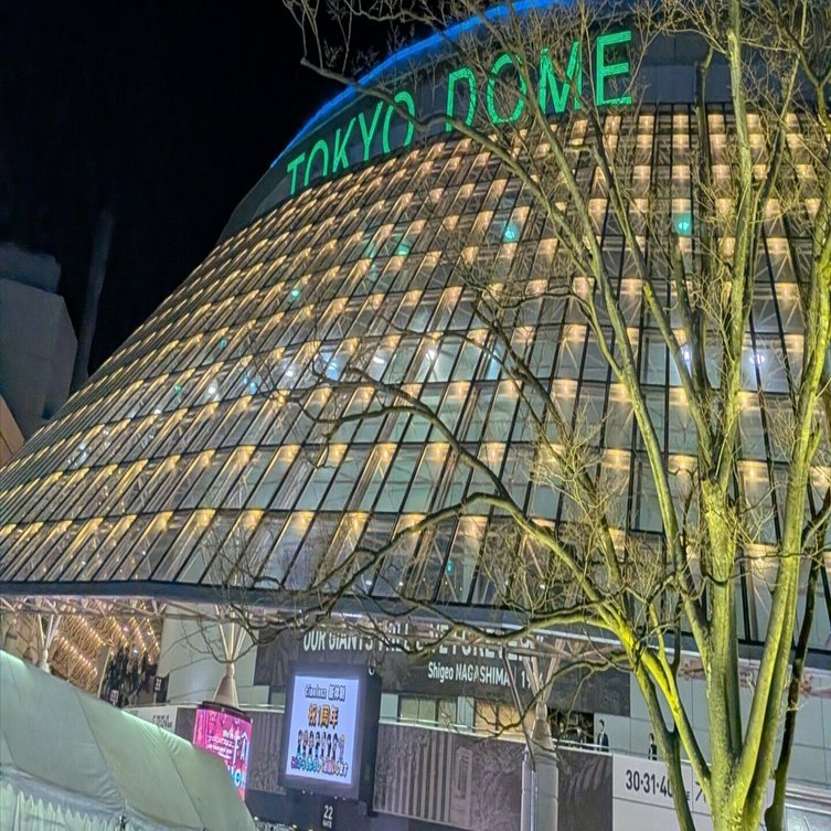 timelesz 東京ドーム 2月5日参戦レポ｜red cat love