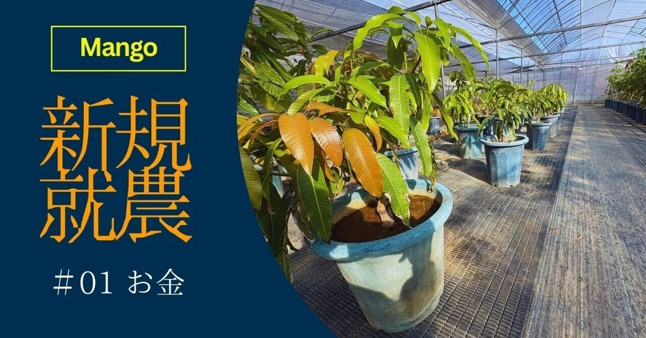 🥭新規就農でマンゴー農家を始めるには、いくらかかる？『＃01 お金