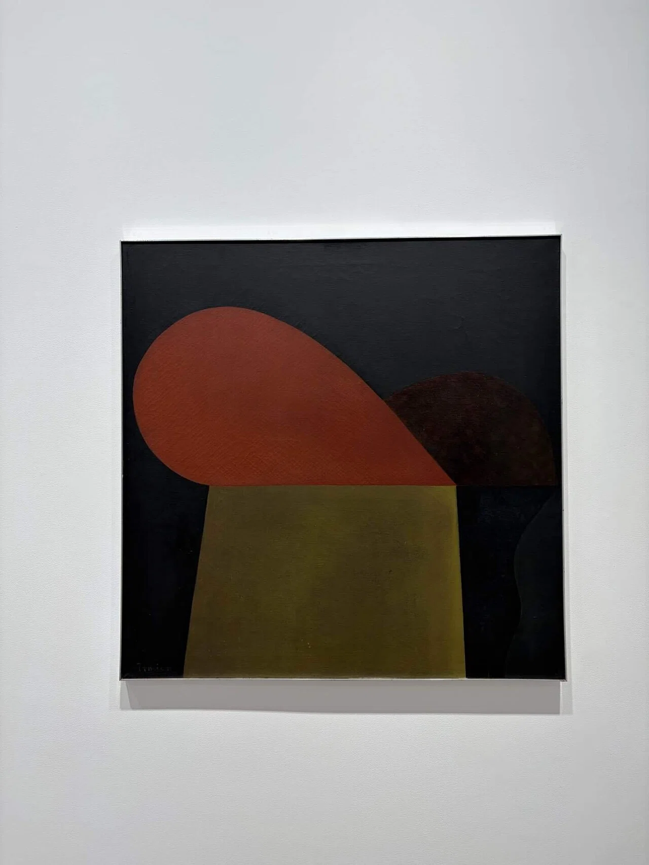 美術批評】 チューブと絵画は湧き踊る| 大竹富江展｜リトランゼ|文筆家