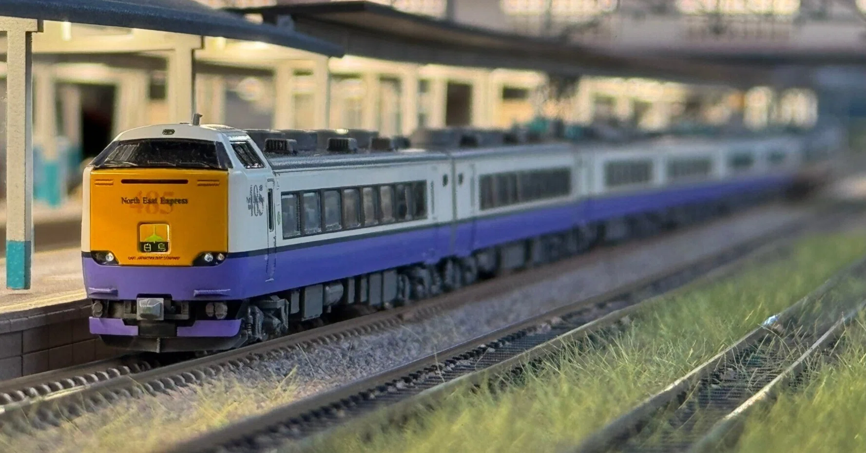 485系　3000番台　白鳥フル編成 白鳥485系3000番台 多客期編成（2010年代）を組む｜こもももももも