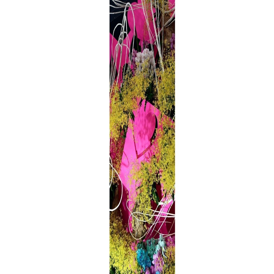 世界らん展｜百日草