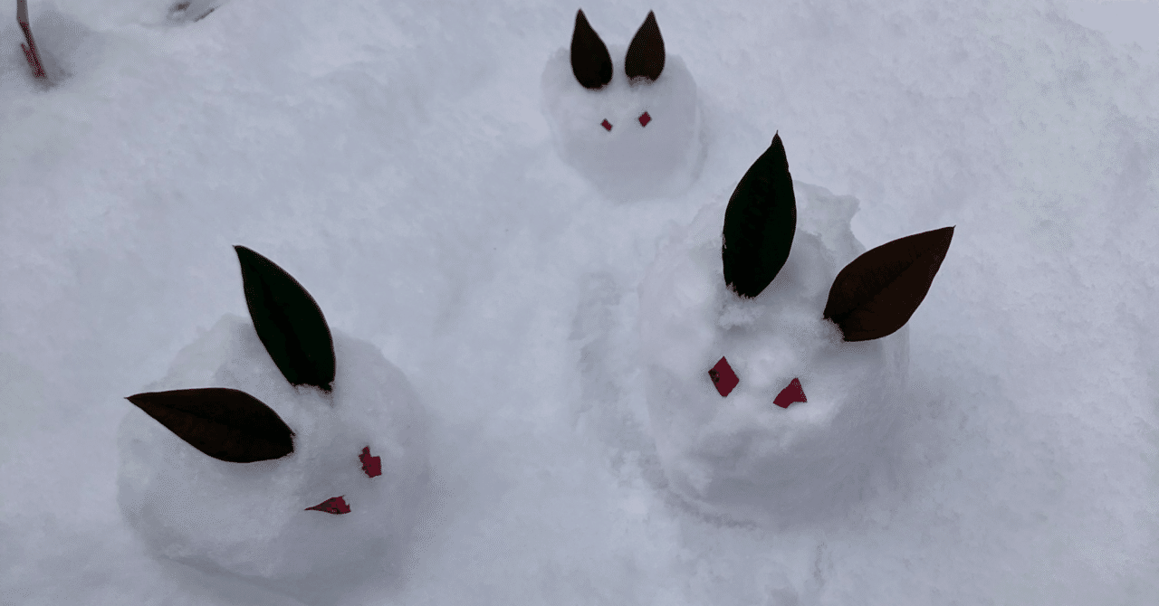 今年の雪うさぎ｜齋藤悠紀