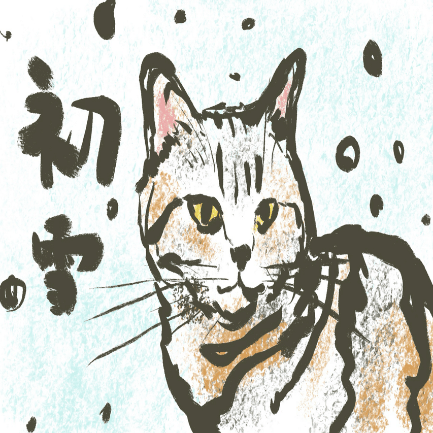 初雪☃️｜minto.