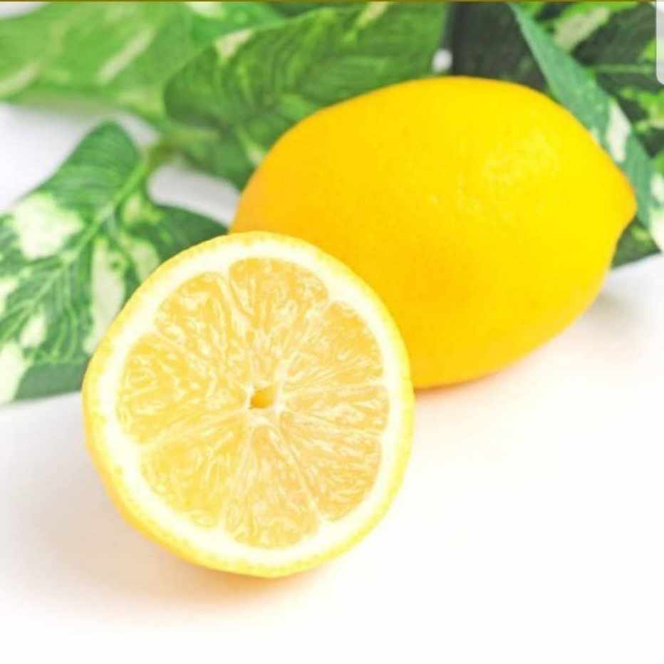 沙耶の唄をやりきった 弧月れもん Note 沙耶の唄をやりきった 弧月れもん Note