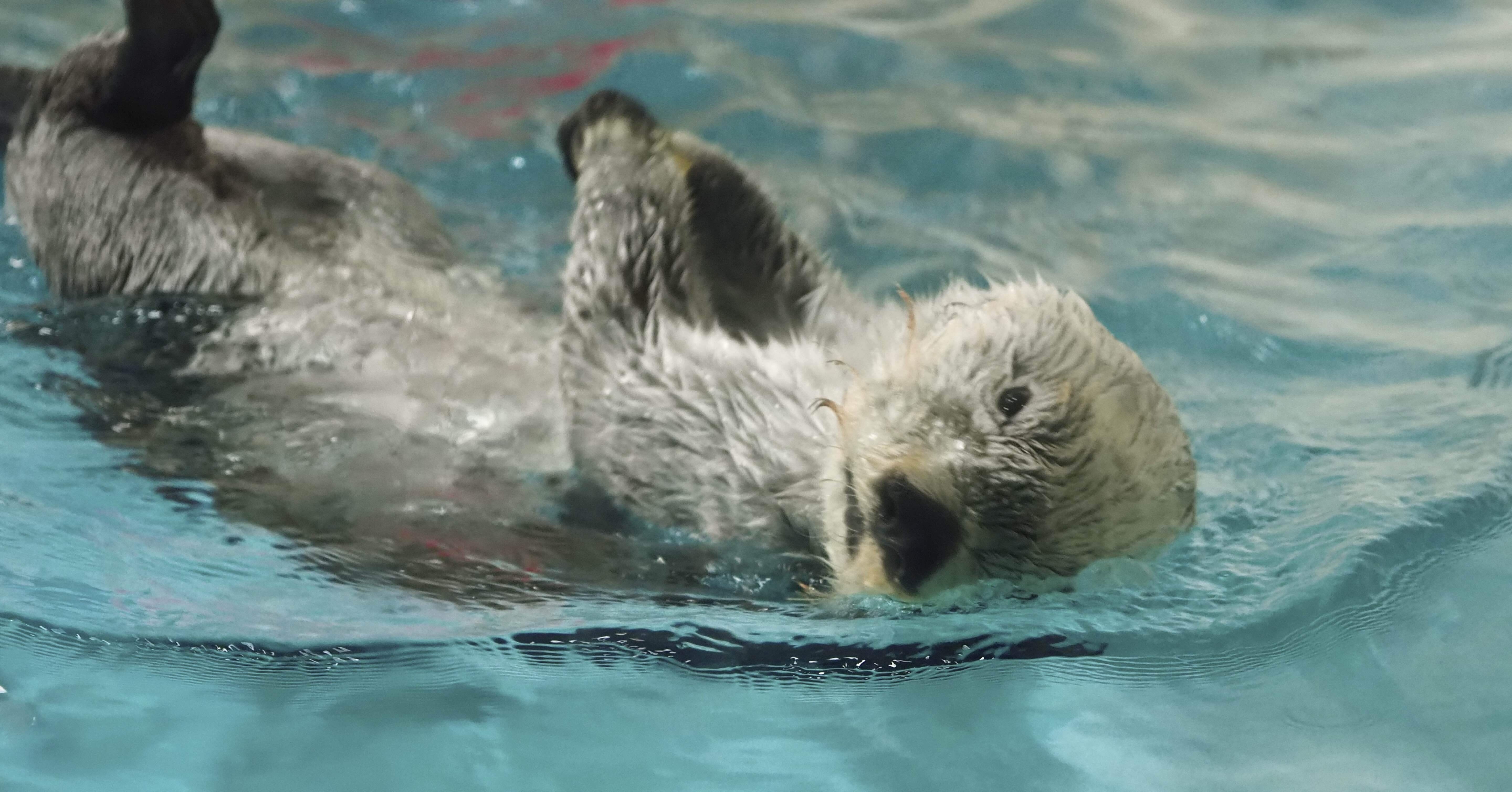 愛知・三重旅2026③鳥羽水族館｜ジョルジョ・ウッチェリ