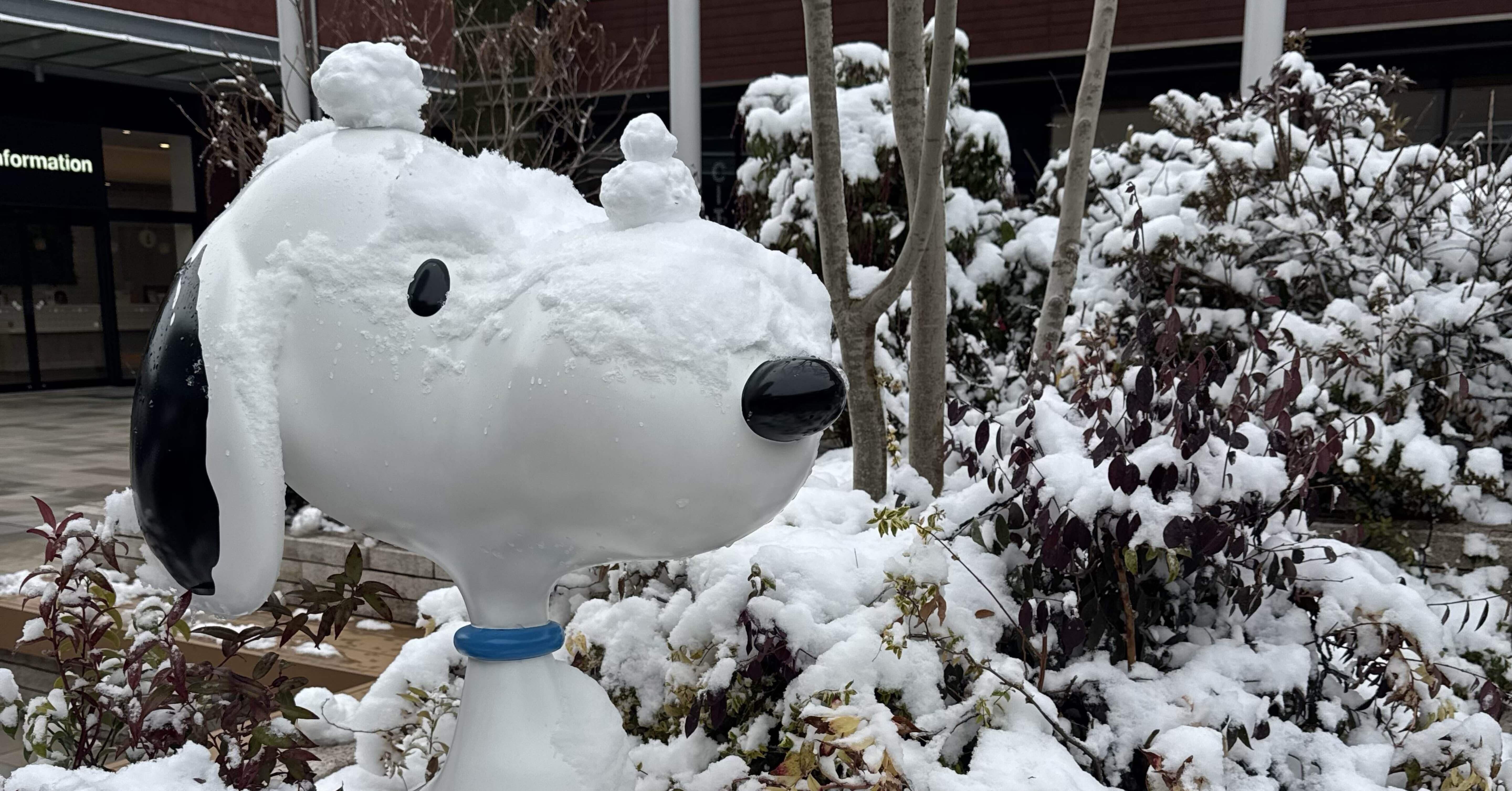 スヌーピーと日曜日｜chica