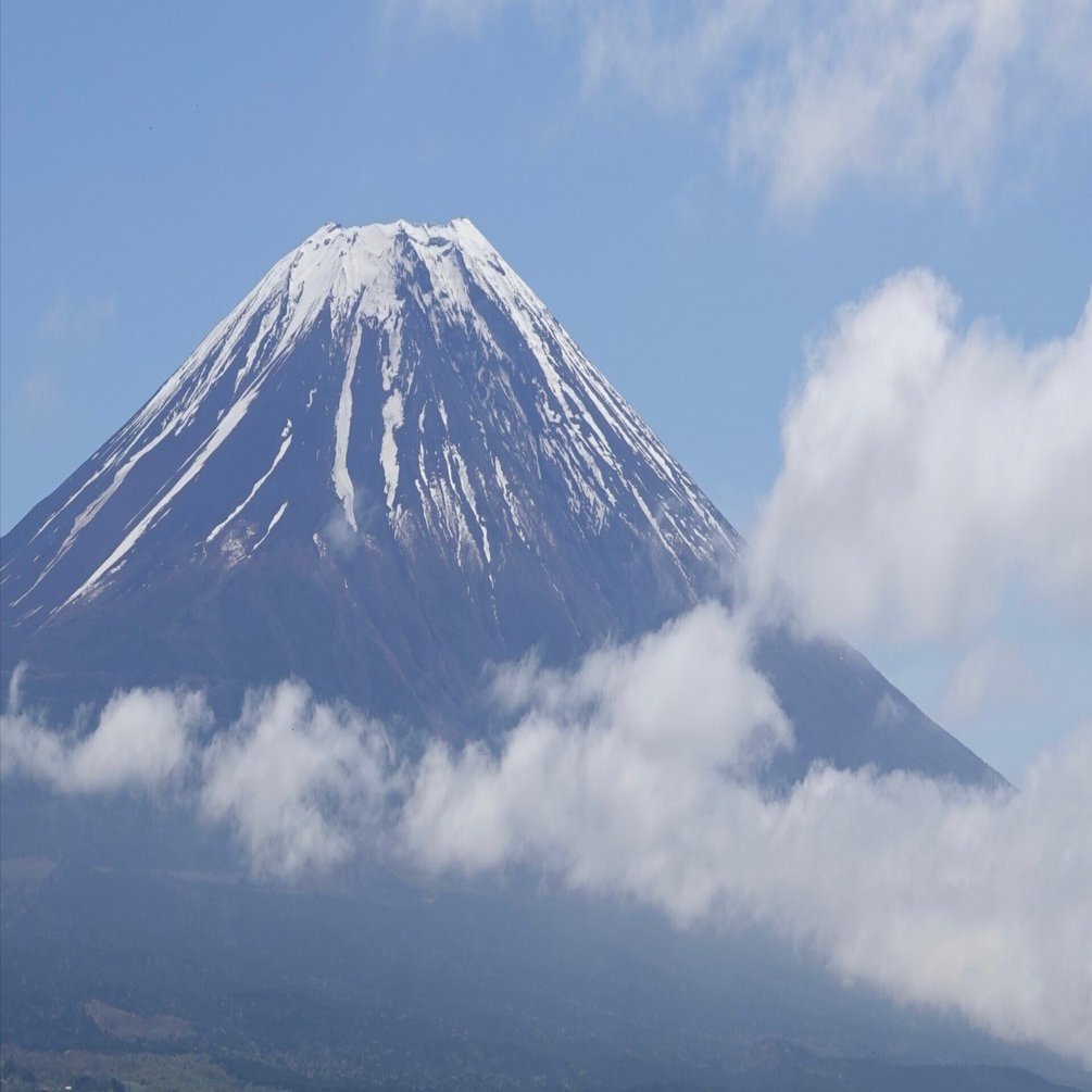 世界のスミレにおける日本のスミレ｜noteスミレの部屋