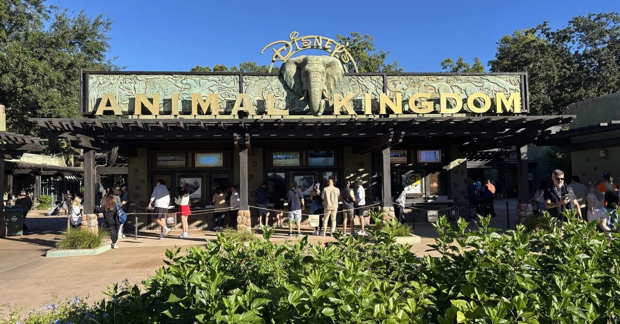 WDW旅行記③2日目アニマルキングダム｜ぽー