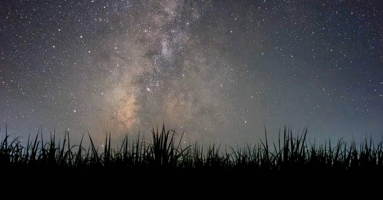 種子島】天下一品の星空を、ひとり占めできる夜🌌｜種子島・南種子町