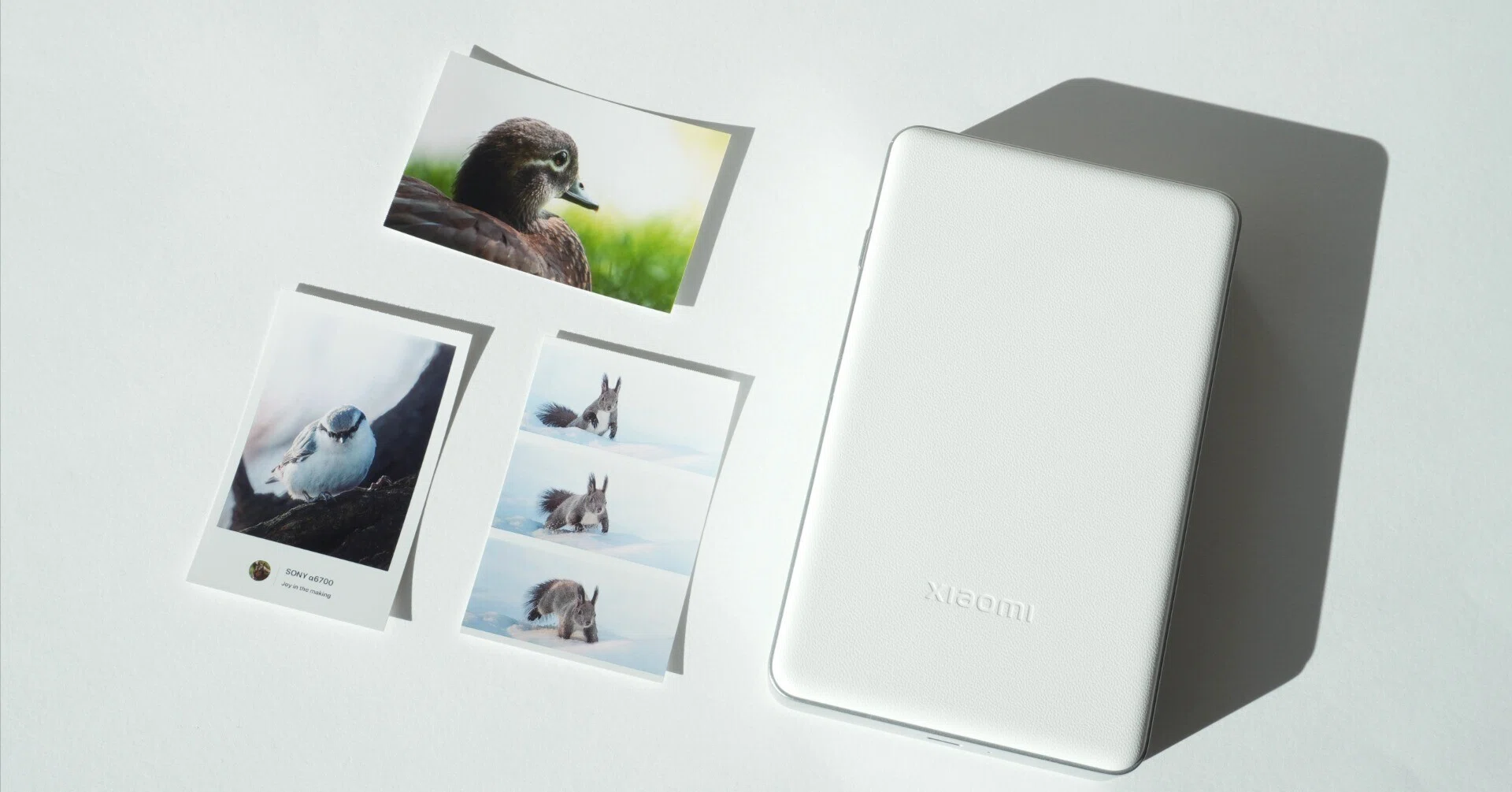 Xiaomi ポータブルフォトプリンター Proレビュー | ガジェット|たぁ📷 Xiaomi ポータブルフォトプリンター Proレビュー | ガジェット|たぁ📷