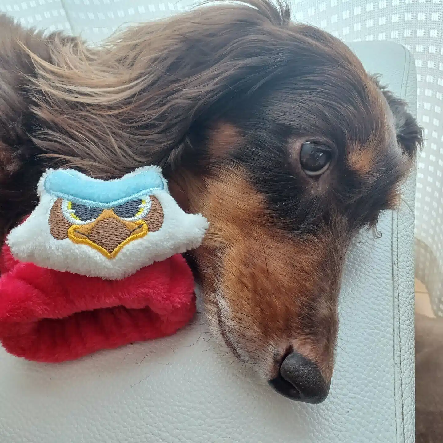 chienee