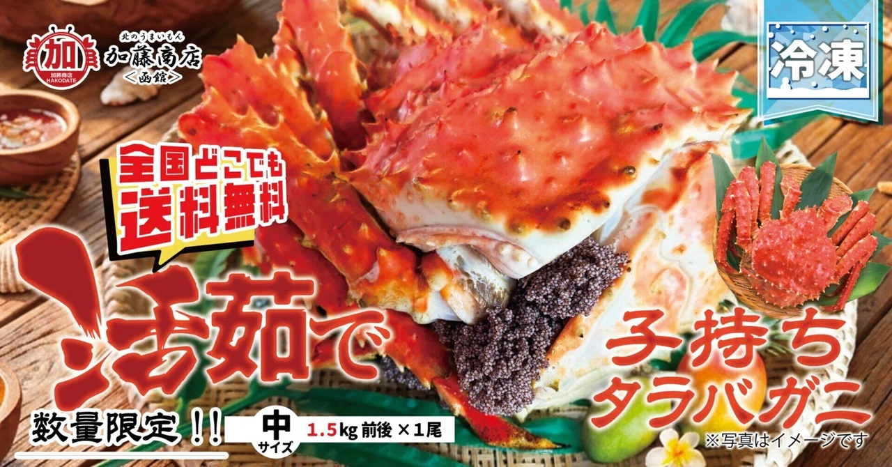 禁断の「紫橙の宝石」子持ちタラバガニ｜北のうまいもん加藤商店＜函館＞