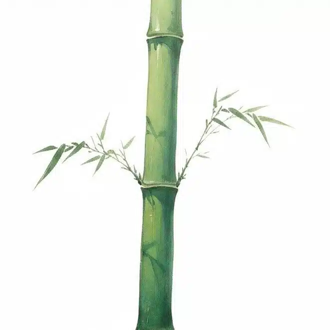 言いたい竹