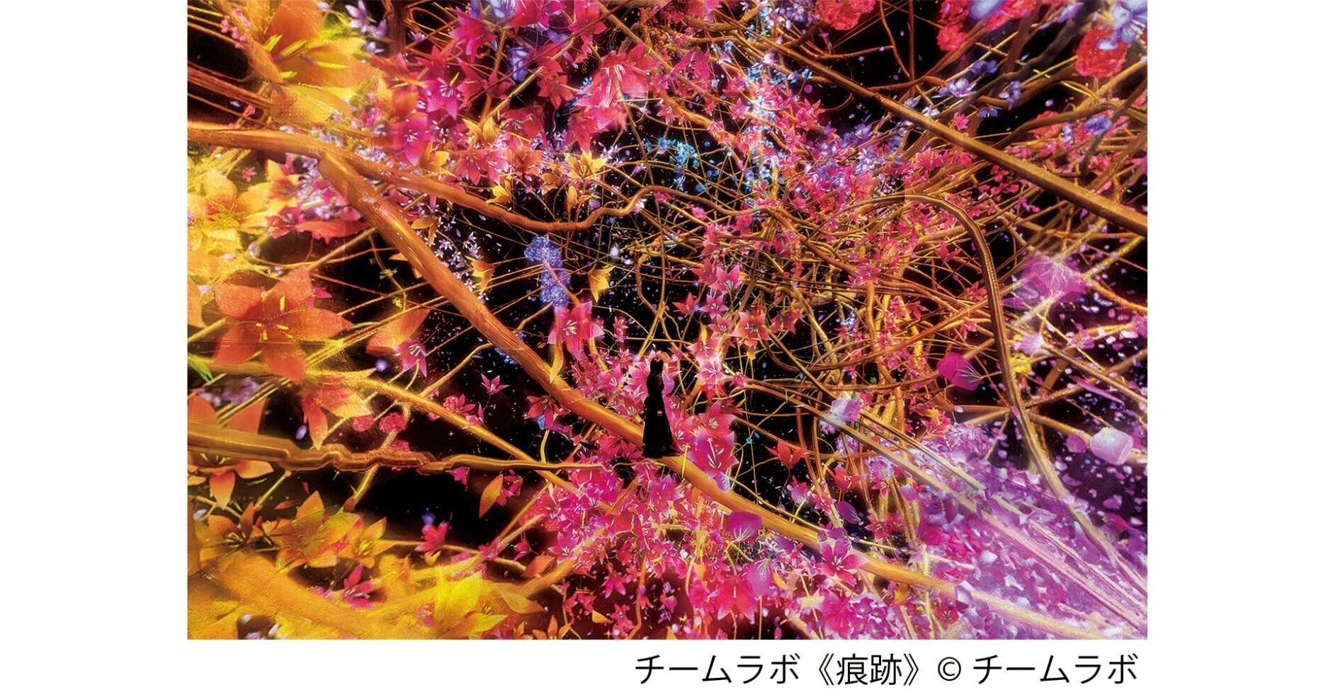 チームラボ バイオヴォルテックス 京都】デジタルが生む圧巻の没入体験