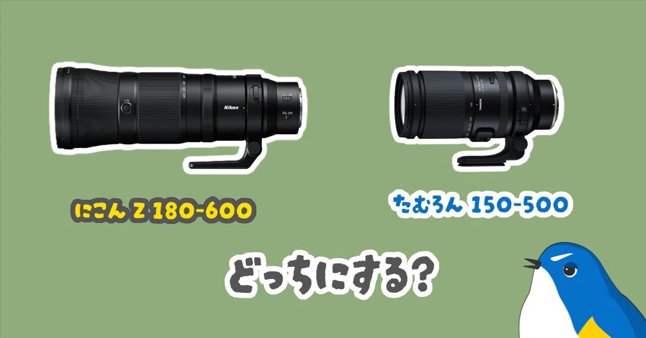 NIKKOR Z 180-600mm と TAMRON 150-500mm どっちで野鳥撮影する