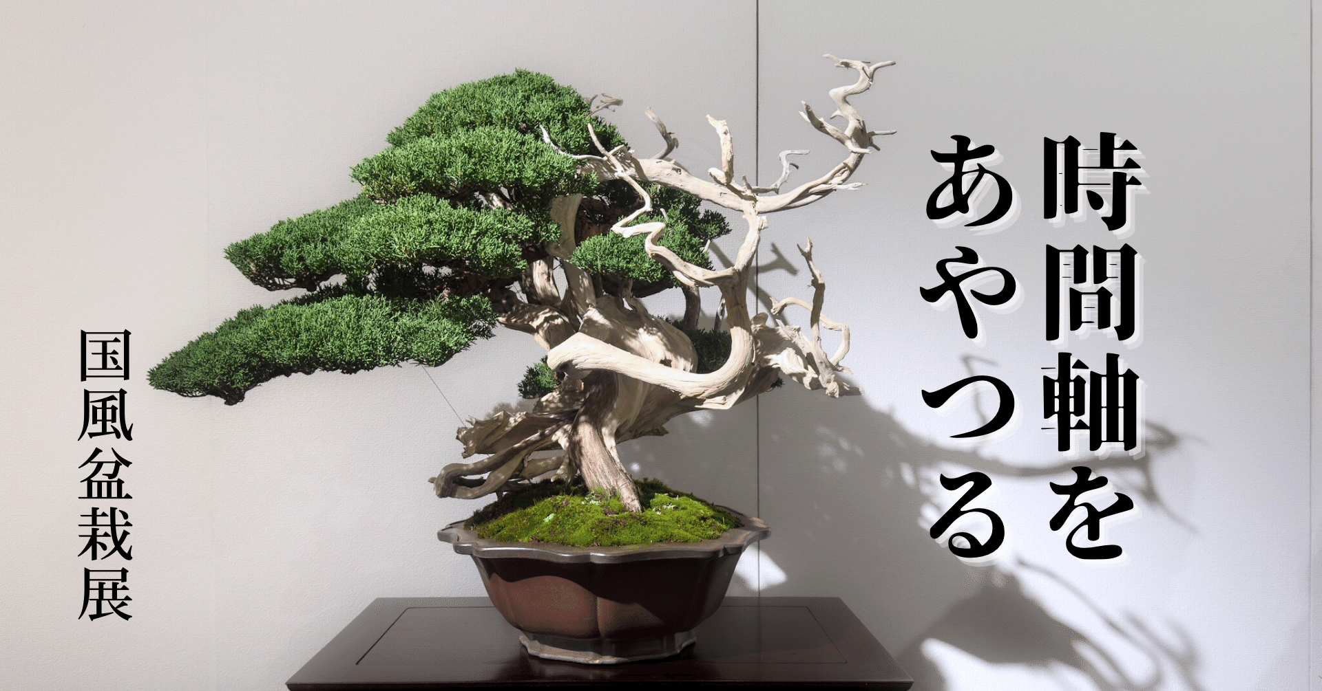 時間軸をあやつる｜国風盆栽展｜喜多島みなみ