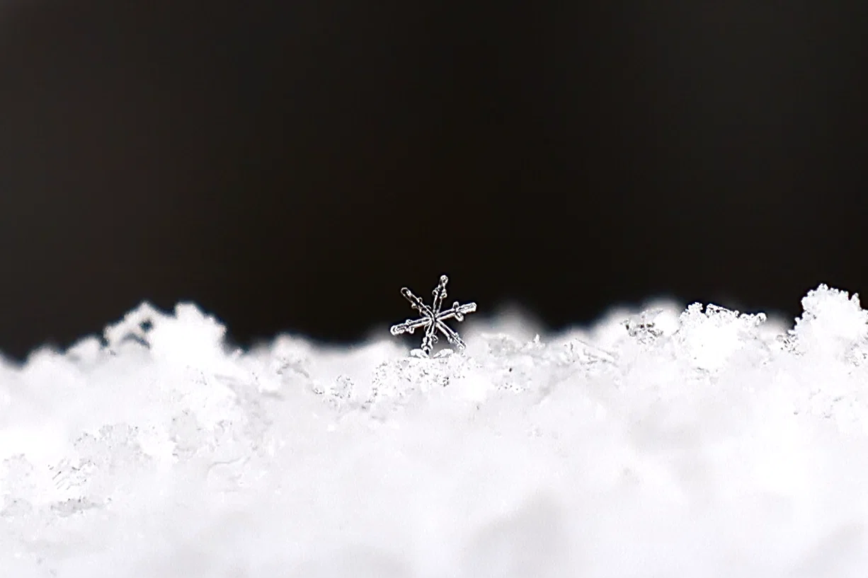 雪の結晶の魔力に心を奪われた日｜はみー