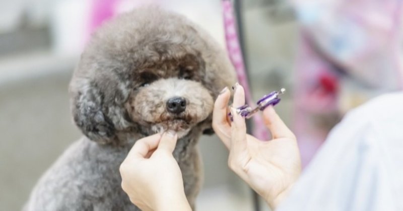 大江健三郎と面白い犬 おまけで怖い犬 千葉りりか Note