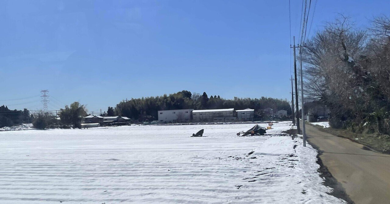演劇は、ひとつの言語である——少年院の演劇ワークショップ帰りに考えていること