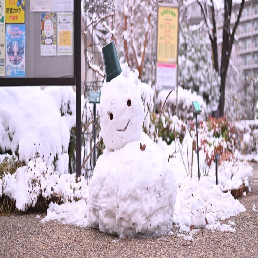 2026、雪降る東京｜mitsuki sora